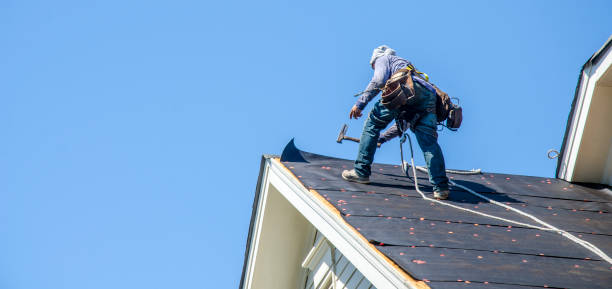 Best Roof Restoration Services  in Lake Nacimiento, CA